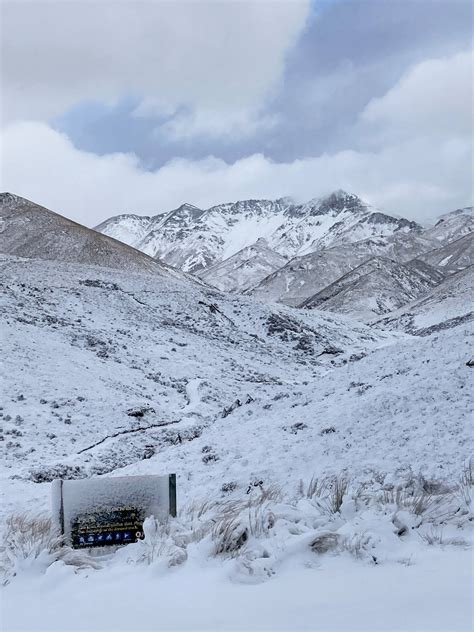 Polar Blast Fruit Growers Counting The Cost Of Big Chill Nz Herald