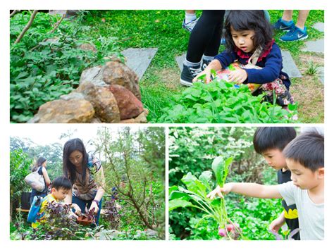 與大自然失去聯繫 認清挑戰嘉道理農場暨植物園