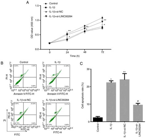 Lncrna Linc00284 Promotes Nucleus Pulposus Cell Proliferation And Ecm