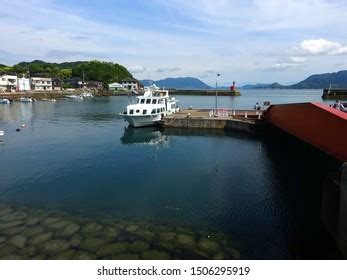 162 Okunoshima Rabbit Island Ferry Images, Stock Photos, 3D objects, & Vectors | Shutterstock