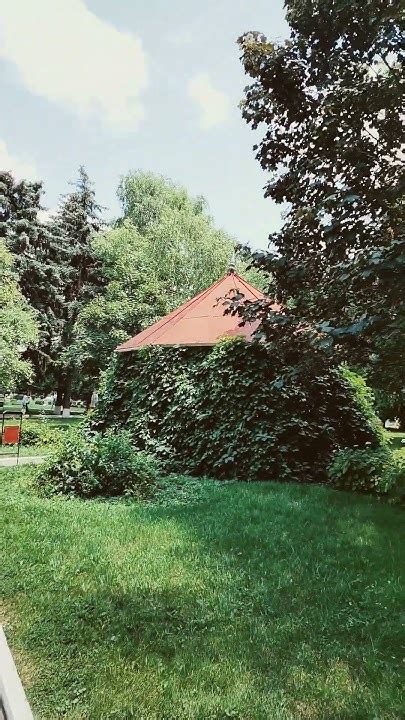 Санаторий ВИКТОРИЯ!!! РАЙ для души и тела!!!🥰😍🤩😘 - YouTube