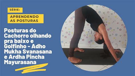 Vamos Aprender As Posturas Postura Do Cachorro Olhando Para Baixo E