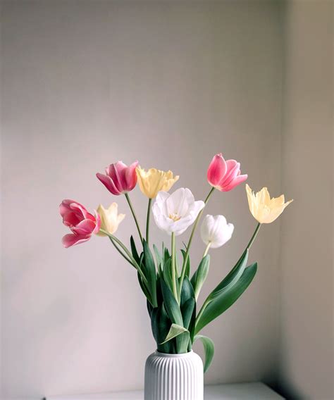 How to care for tulips in a vase, according to a florist | Homes and