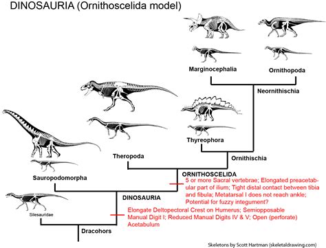 Geol 104 The Rise Of The Dinosaurs What Is A Dinosaur Version 20