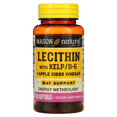 Mason Natural Lecithin With Kelp B6 Plus Apple Cider Vinegar 100 Softgels 100 Count Kroger