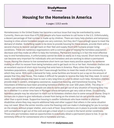 How To End Homelessness Essay Deon Rodrigue