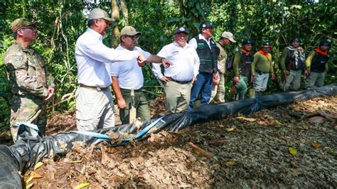 Mininter Erradican M S De Mil Hect Reas De Cultivo De Hoja De Coca