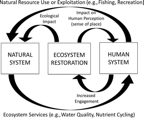 General Conceptual Model Of A Coupled Human Natural System Sensu Download Scientific Diagram