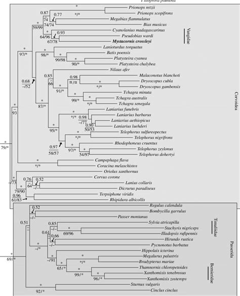 Bayesian Consensus Tree Of The Combined Mixed Model Analysis Of The