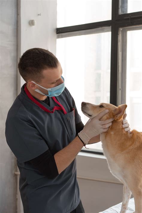 Aspca Pet Health Insurance Reviews The Best Coverage