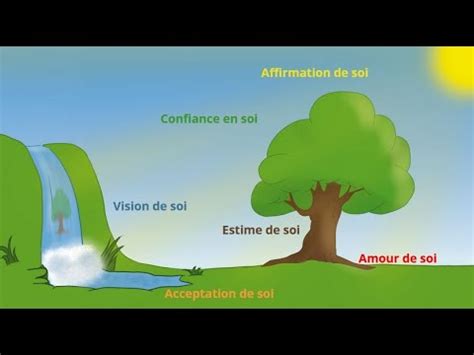 L arbre du soi de l estime de soi à l amour de soi YouTube