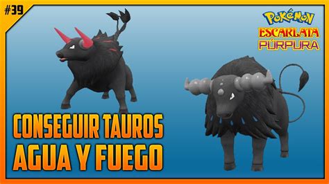 CÓMO CONSEGUIR A TAUROS TIPO AGUA FUEGO EP 39 POKÉMON ESCARLATA