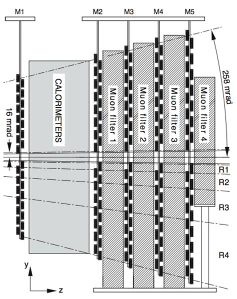 lhcb muon system  scientific diagram