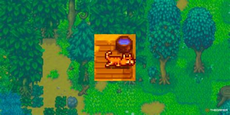 How To Get A Pet Turtle In Stardew Valley