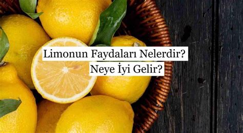 Limonun Faydaları Nelerdir Neye İyi Gelir Güzel Bilgiler