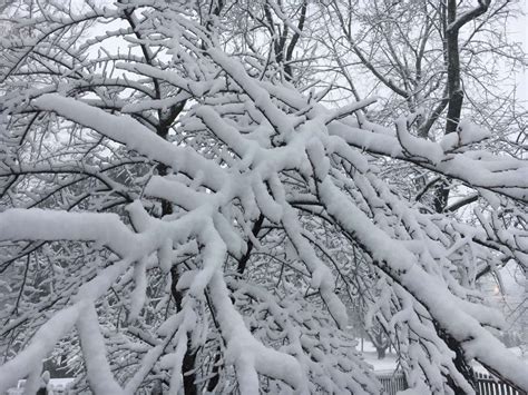 JUST IN: More snow coming to Fairfax County tomorrow, National Weather ...