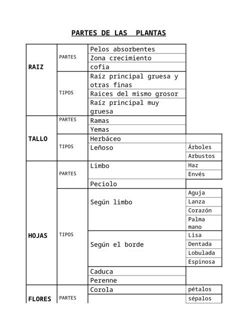 DOC Partes De Las Plantas DOKUMEN TIPS