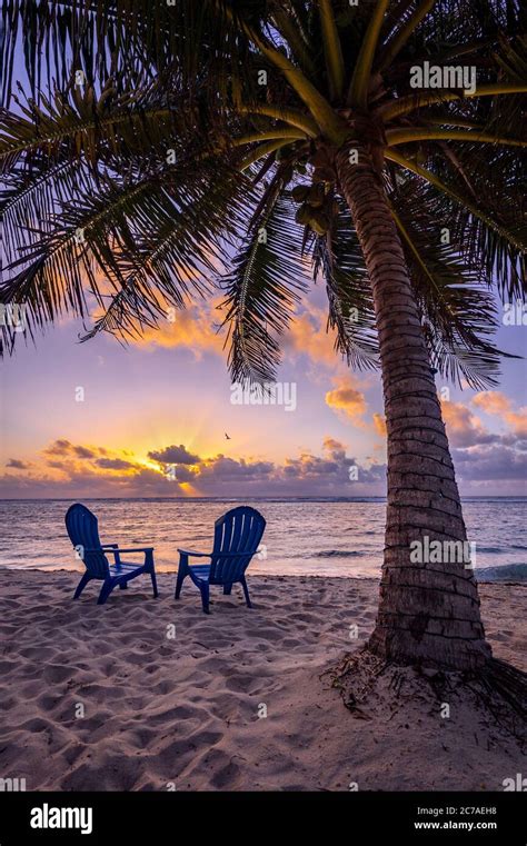 Sunset Beach Chairs Palm Trees High Resolution Stock Photography And