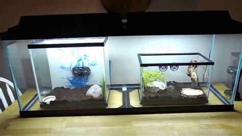 Pacman Frog Enclosure Set Up Youtube