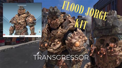 Jorge FLOOD KIT For HOW MUCH Are They Insane Transgressor Halo