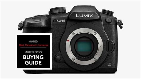 Best Panasonic Mirrorless Cameras - Muted.