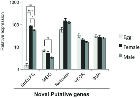 Relative expression obtained by qPCR of new putative genes identified ... 