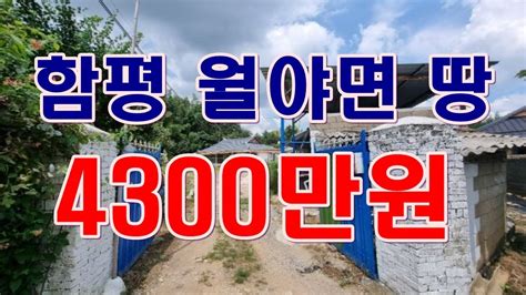 부동산 경매물건 전남 함평 월야면 예덕리 땅 Youtube