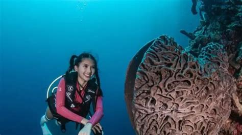 Profil Soraya Rasyid Perjalanan Karier Dan Fakta Terkini Hot Liputan