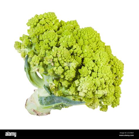 Fresh Romanesco Broccoli Isolated On White Background Stock Photo Alamy