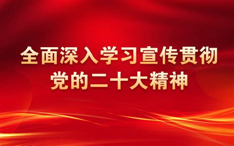 全面深入学习宣传贯彻党的二十大精神河北网络广播电视台