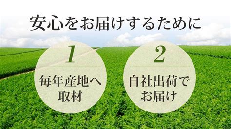 人参 無農薬にんじん 野菜セット 無農薬野菜 にんじんジュース ジュース用 5kg りんご5個 レモン5個 ゲルソン療法にも最適 訳あり リアル