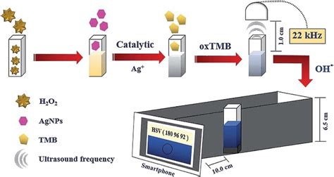 General Process Of This Proposed Method For H 2 O 2 Detection