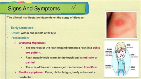 Lyme Disease