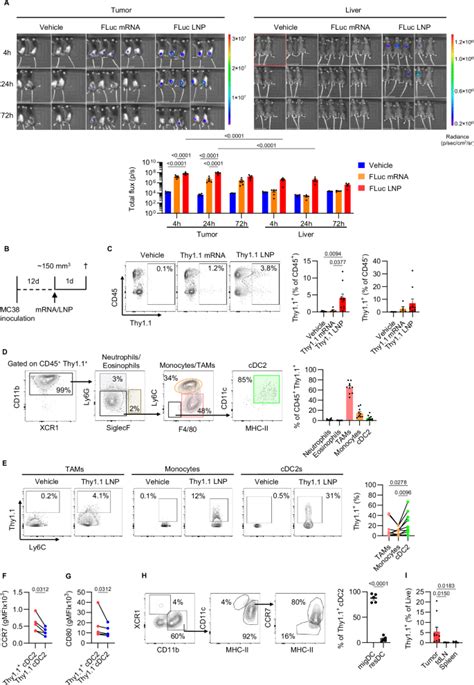 Intratumoral Delivery Of Lipid Nanoparticle Formulated Mrna Encoding Il