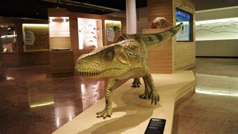 Museo Geologico Delle Dolomiti A Predazzo Iniziative Ed Attivit