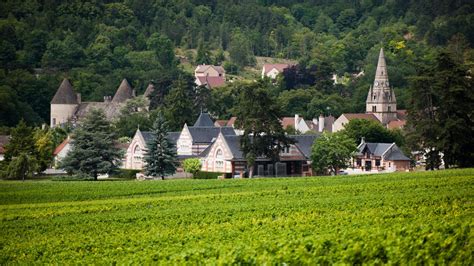 Savigny Les Beaune Turismo En Beaune Y Su Regi N Borgo A