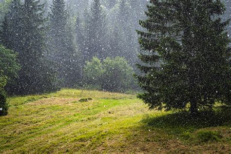 Ve Kofatransk Hrebe Ovka Zo Zotavovne Smrekovica Do Ru Omberka