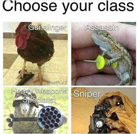 I Chose Sniper Meme By Supboyy Memedroid Hot Sex Picture