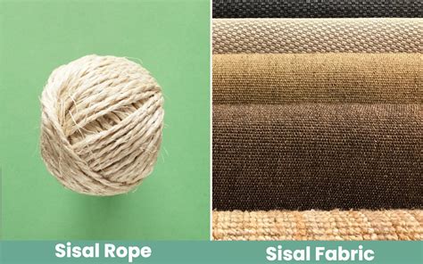 Sisal Rope vs. Sisal Fabric for Cat Scratching Posts: Key Differences, Benefits & FAQ - Catster