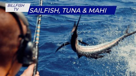 Double Header Bigeye Tuna Sailfish And Mahi Billfish TV 116 YouTube