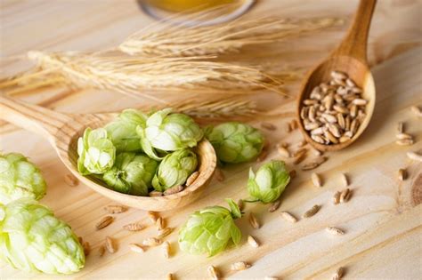 Premium Photo Hops And Barley In Wooden Spoons On Wooden Space