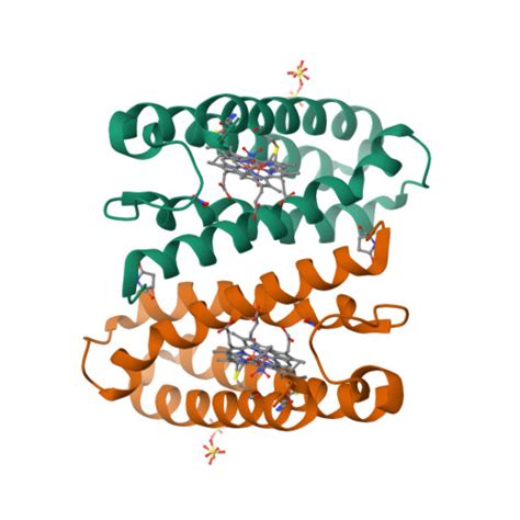 Rcsb Pdb Xl Cytochrome C Prime From Alcaligenes Xylosoxidans