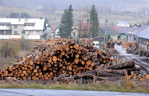 Drvna industrija na koljenima Narudžbe prerađivačima drva strovalile