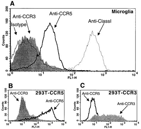 Surface Expression Of Chemokine Receptors Ccr3 And Ccr5 On Microglia