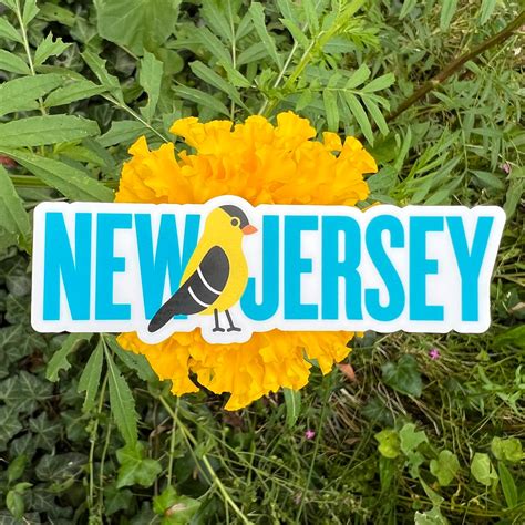 New Jersey Goldfinch State Bird Vinyl Sticker Fatbird