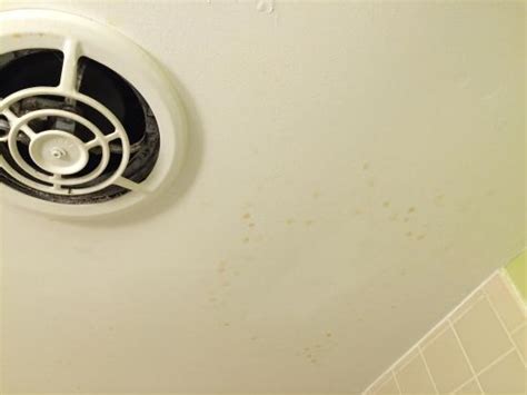 Light Brown Spots On Bathroom Ceiling Shelly Lighting