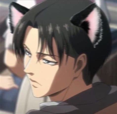 Levi Ackerman In 2021 Anime Cat Boy Cat Girl Catboy