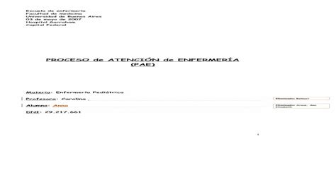 Proceso De Atenci N De Enfermer A Pae Pdf File Pae Materia