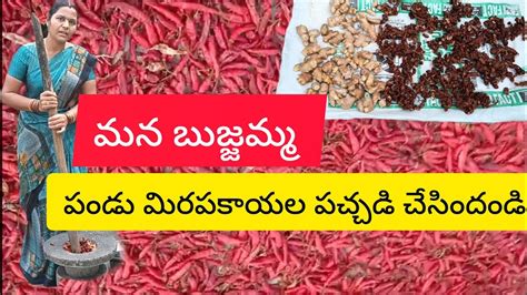 బుజ్జమ్మ చేతి🌶️పండు మిరపకాయల పచ్చడిరైస్ ఇడ్లీదోశ బజ్జీ దేనితోనైన