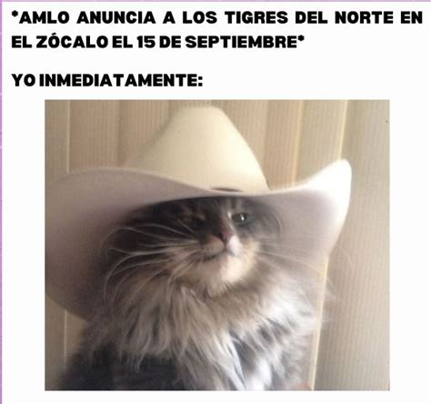 Los Mejores Memes De Los Tigres Del Norte En El Zócalo Tras El Anuncio